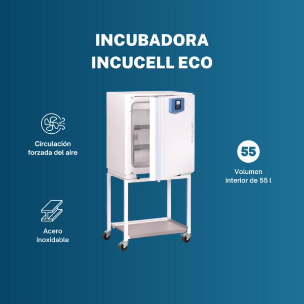 Incubadora de laboratorio con circulación natural  INCUCELL 55 L